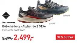 Intersport Salomon běžecké boty alpharide 2 gtx nabídka