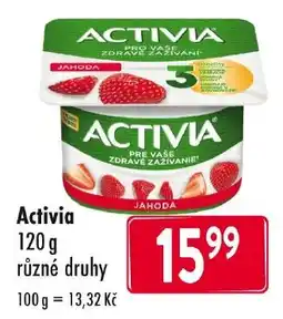Qanto Activia jahoda nabídka