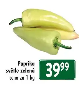 Qanto Paprika světle zelená nabídka