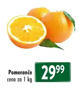 Qanto Pomeranče nabídka