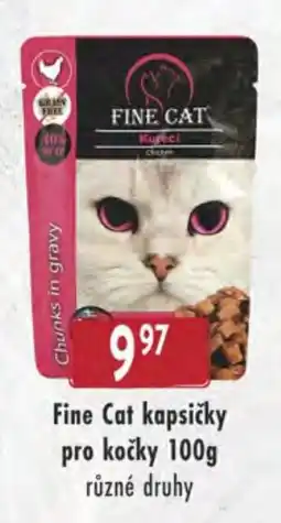 Qanto Fine Cat kapsičky nabídka