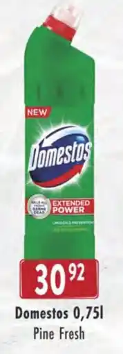 Qanto Domestos Pine Fresh nabídka