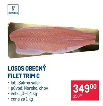 LOSOS OBECNÝ FILET TRIM C