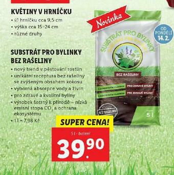 Lidl Substrát pro bylinky bez rašeliny nabídka