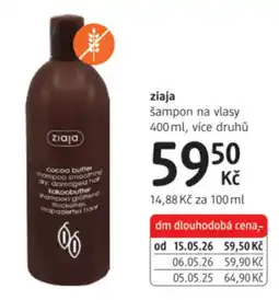 dm drogerie Ziaja šampon na vlasy nabídka
