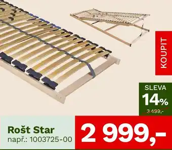 Rošt Star