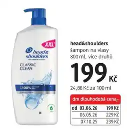 dm drogerie Head & Shoulders nabídka