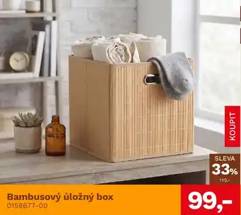 Bambusový úložný box