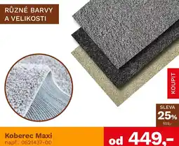 Asko Koberec Maxi nabídka