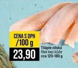 Jip Tilápie nilská filet bez kůže cca 120-180 g 100g nabídka