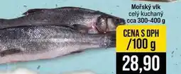 Jip Mořský vlk celý kuchaný cca 300-400 g 100g nabídka