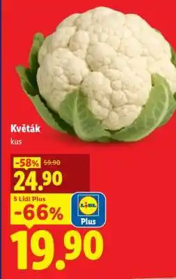 Lidl Květák nabídka