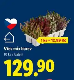 Lidl Vřes mix barev nabídka