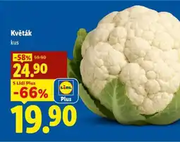 Lidl Květák nabídka