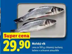 Lidl Mořský vlk nabídka