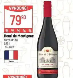 Globus Henri de Montignac nabídka