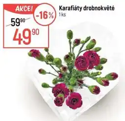 Globus Karafiáty drobnokvěté nabídka