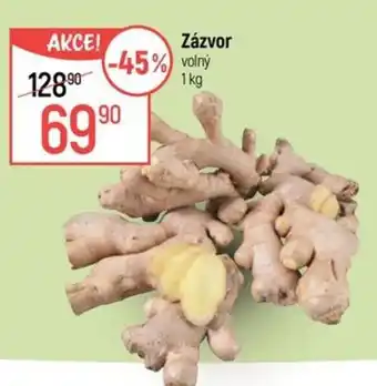 Globus Zázvor nabídka