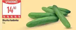 Globus Okurka hadovka nabídka