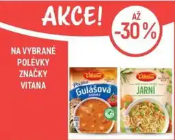 Globus Vitana polévky nabídka
