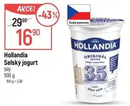 Globus Hollandia selský jogurt bílý nabídka