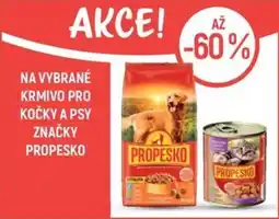 Globus Propesko nabídka
