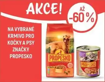 Globus Propesko nabídka
