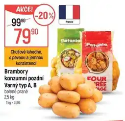 Globus Patania brambory konzumní pozdní varný typ A, B nabídka