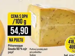 Jip Pittoresque Gouda 50% sýr nabídka