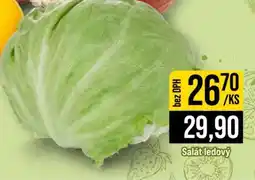 Jip Salát ledový nabídka