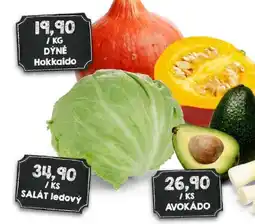 Jip Hokkaido dýně nabídka
