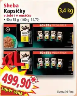 Norma Sheba Kapsičky v želé / v omáčce nabídka