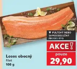 Kaufland Losos obecný filet nabídka