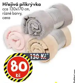 TEDi Hřejivá přikrývka nabídka