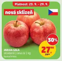 Penny Market JABLKA GALA nabídka