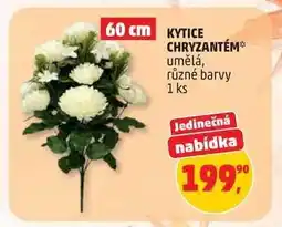 Penny Market Kytice chryzantém nabídka