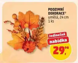Penny Market PODZIMNÍ DEKORACE nabídka