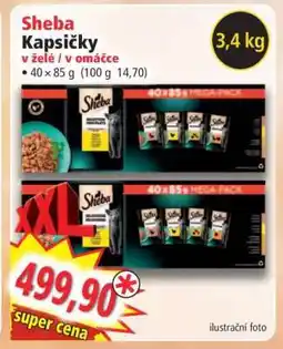 Norma Sheba Kapsičky nabídka