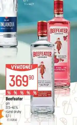 Globus Beefeater nabídka