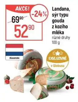 Globus Landana, sýr typu gouda z kozího mléka nabídka