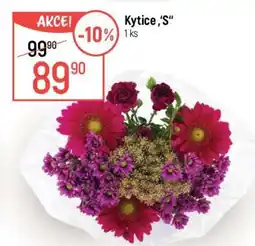 Globus Kytice S nabídka