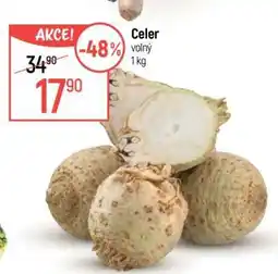 Globus Celer volný nabídka