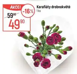 Globus Karafiáty drobnokvěté nabídka