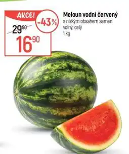Globus Meloun vodní červený nabídka