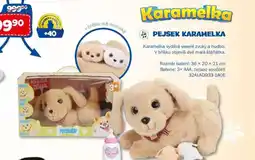 Sparkys Pejsek karamelka nabídka