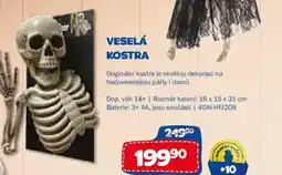 Sparkys Veselá kostra nabídka