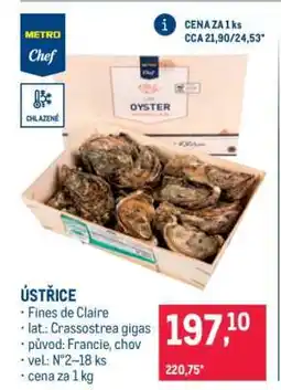 Makro Ústřice nabídka