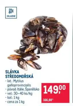 Makro SLÁVKA STŘEDOMOŘSKÁ nabídka
