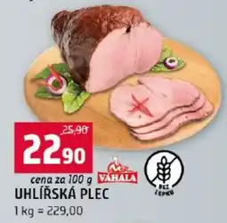 Terno Vahala uhlířská plec nabídka