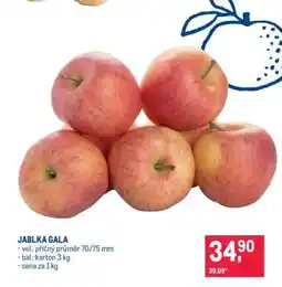 Makro JABLKA GALA nabídka